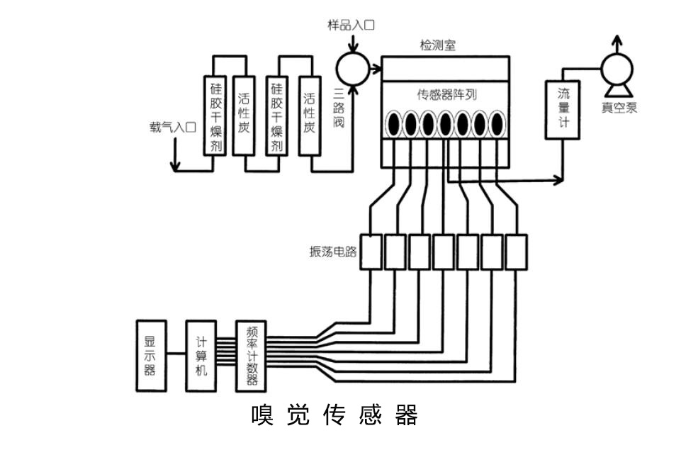 嗅覺傳感器真的可以測(cè)出異物和疾?。? /><p><a href=
