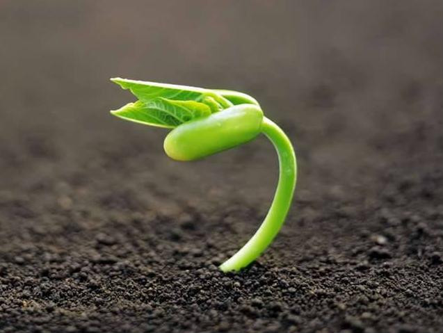 儀器儀表產業市場競爭局勢正在改變