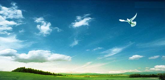 儀器儀表行業市場前景廣闊